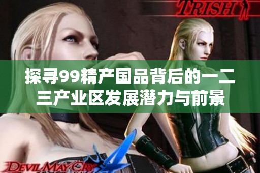 探寻99精产国品背后的一二三产业区发展潜力与前景