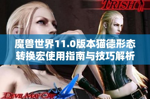 魔兽世界11.0版本猫德形态转换宏使用指南与技巧解析