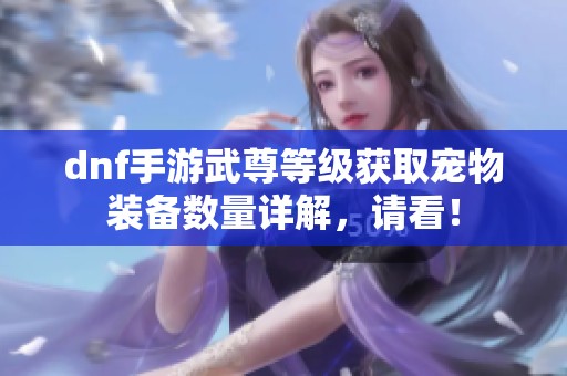 dnf手游武尊等级获取宠物装备数量详解，请看！