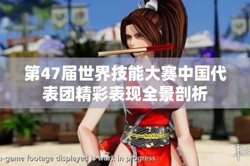 第47届世界技能大赛中国代表团精彩表现全景剖析