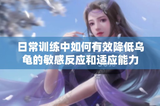 日常训练中如何有效降低乌龟的敏感反应和适应能力
