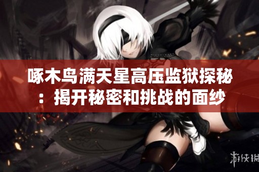 啄木鸟满天星高压监狱探秘：揭开秘密和挑战的面纱
