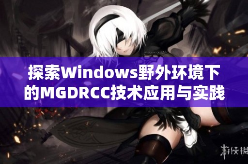 探索Windows野外环境下的MGDRCC技术应用与实践分析