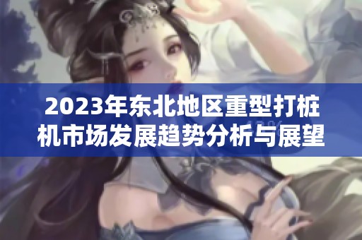 2023年东北地区重型打桩机市场发展趋势分析与展望