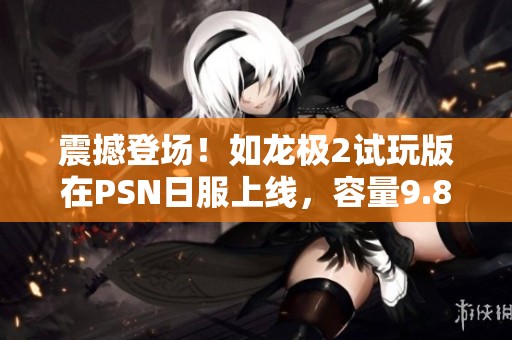 震撼登场！如龙极2试玩版在PSN日服上线，容量9.89GB