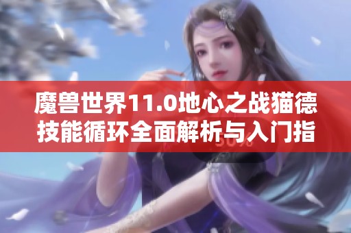 魔兽世界11.0地心之战猫德技能循环全面解析与入门指南