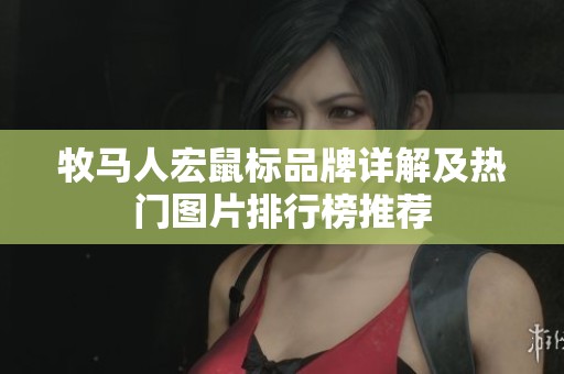 牧马人宏鼠标品牌详解及热门图片排行榜推荐