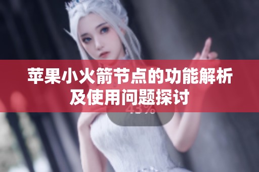 苹果小火箭节点的功能解析及使用问题探讨