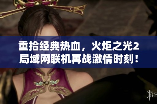 重拾经典热血，火炬之光2局域网联机再战激情时刻！