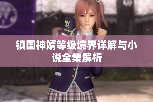 镇国神婿等级境界详解与小说全集解析