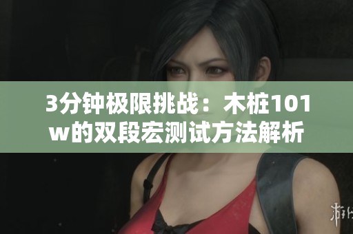 3分钟极限挑战：木桩101w的双段宏测试方法解析