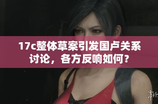 17c整体草案引发国卢关系讨论，各方反响如何？