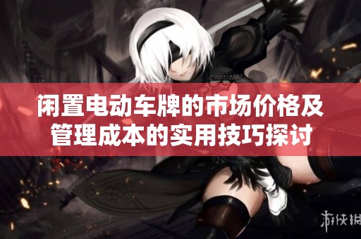 闲置电动车牌的市场价格及管理成本的实用技巧探讨