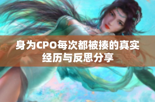 身为CPO每次都被揍的真实经历与反思分享