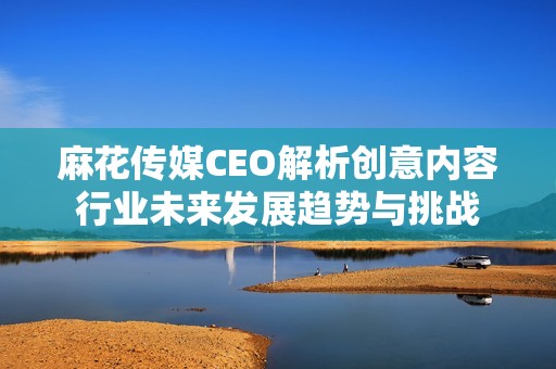 麻花传媒CEO解析创意内容行业未来发展趋势与挑战