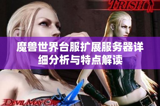 魔兽世界台服扩展服务器详细分析与特点解读