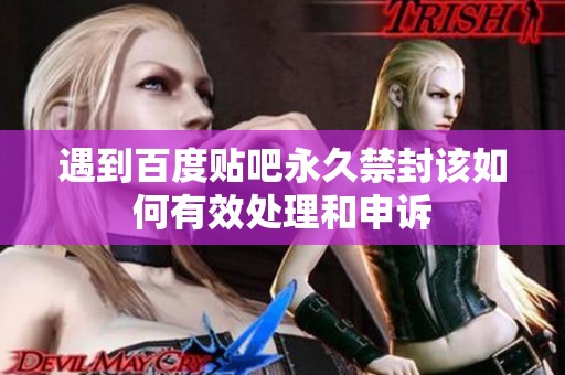 遇到百度贴吧永久禁封该如何有效处理和申诉