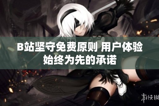 B站坚守免费原则 用户体验始终为先的承诺