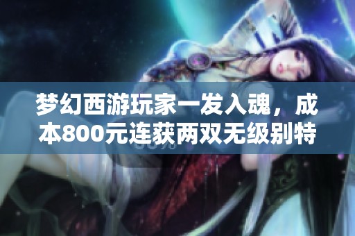 梦幻西游玩家一发入魂，成本800元连获两双无级别特技鞋子