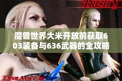 魔兽世界大米开放前获取603装备与636武器的全攻略