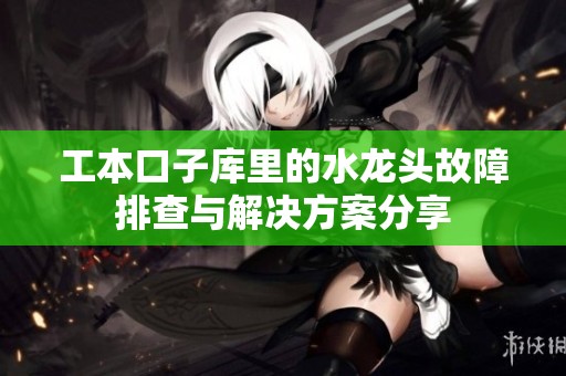 工本口子库里的水龙头故障排查与解决方案分享
