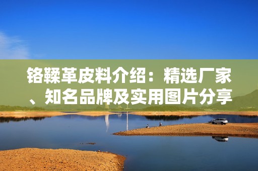 铬鞣革皮料介绍：精选厂家、知名品牌及实用图片分享