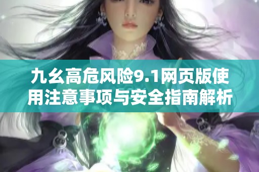 九幺高危风险9.1网页版使用注意事项与安全指南解析