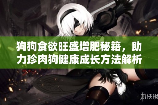 狗狗食欲旺盛增肥秘籍，助力珍肉狗健康成长方法解析