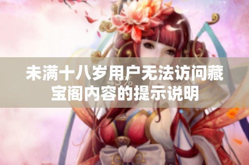 未满十八岁用户无法访问藏宝阁内容的提示说明