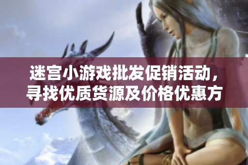 迷宫小游戏批发促销活动，寻找优质货源及价格优惠方案
