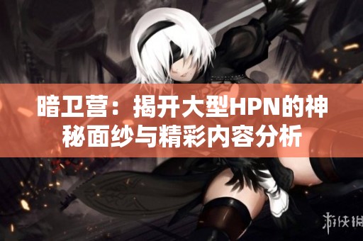 暗卫营：揭开大型HPN的神秘面纱与精彩内容分析