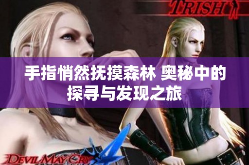 手指悄然抚摸森林 奥秘中的探寻与发现之旅