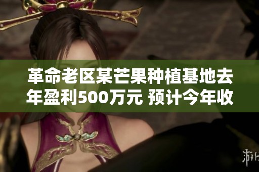 革命老区某芒果种植基地去年盈利500万元 预计今年收入将达900万元