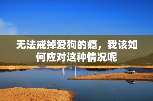 无法戒掉爱狗的瘾，我该如何应对这种情况呢