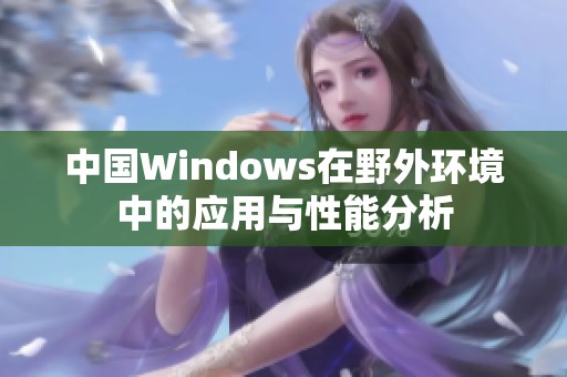 中国Windows在野外环境中的应用与性能分析