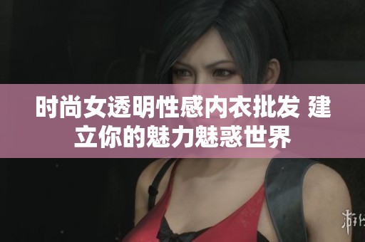 时尚女透明性感内衣批发 建立你的魅力魅惑世界