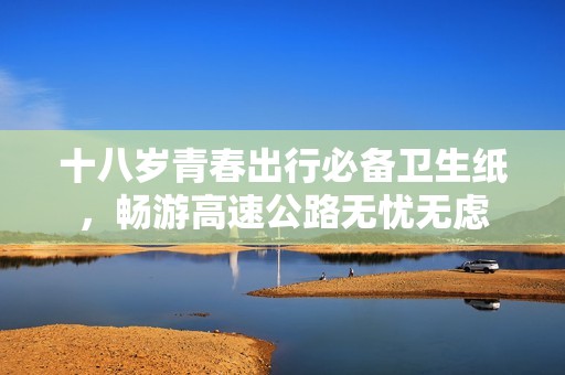 十八岁青春出行必备卫生纸，畅游高速公路无忧无虑
