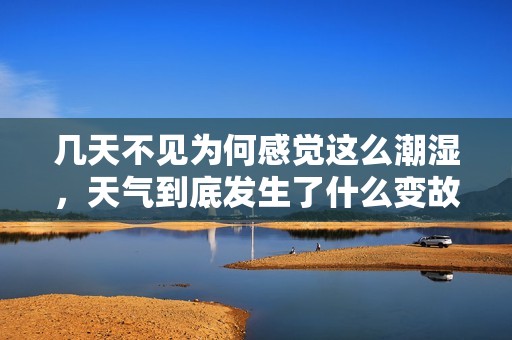 几天不见为何感觉这么潮湿，天气到底发生了什么变故