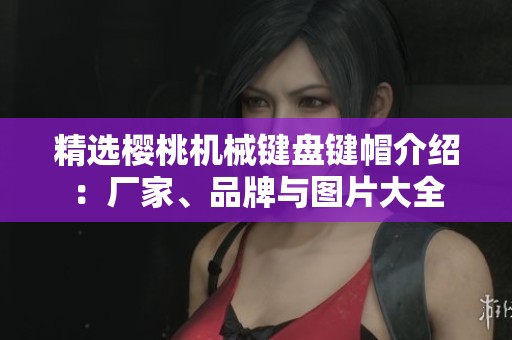 精选樱桃机械键盘键帽介绍：厂家、品牌与图片大全