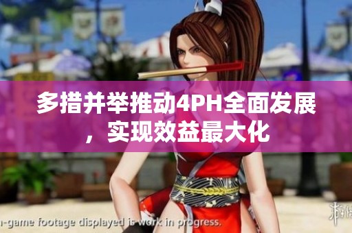多措并举推动4PH全面发展，实现效益最大化