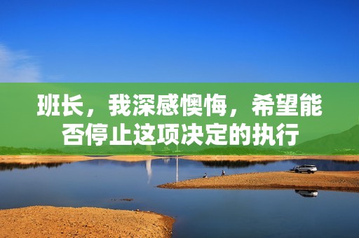 班长，我深感懊悔，希望能否停止这项决定的执行