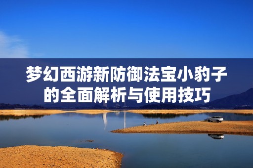 梦幻西游新防御法宝小豹子的全面解析与使用技巧