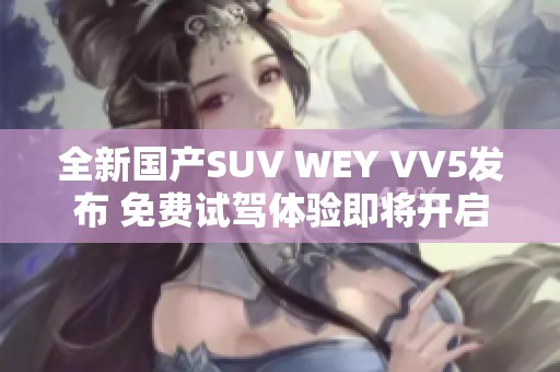 全新国产SUV WEY VV5发布 免费试驾体验即将开启