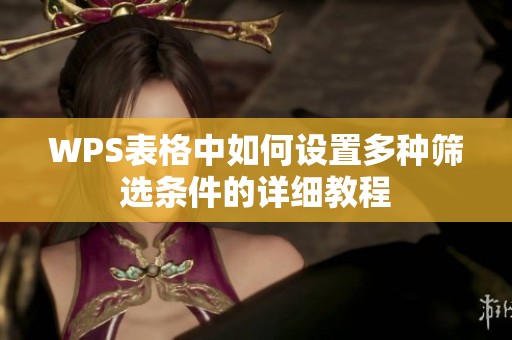 WPS表格中如何设置多种筛选条件的详细教程