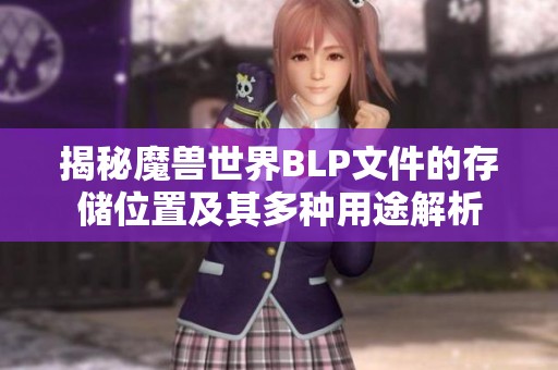 揭秘魔兽世界BLP文件的存储位置及其多种用途解析