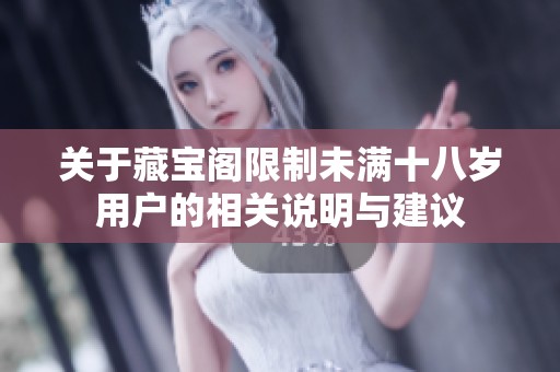 关于藏宝阁限制未满十八岁用户的相关说明与建议