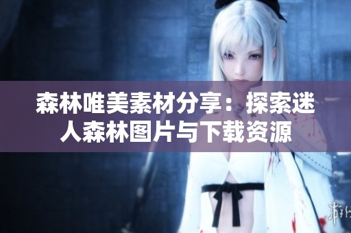 森林唯美素材分享：探索迷人森林图片与下载资源