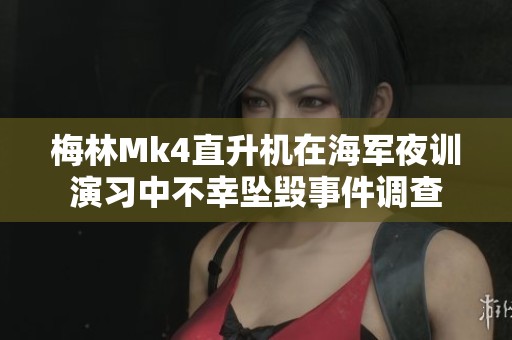 梅林Mk4直升机在海军夜训演习中不幸坠毁事件调查