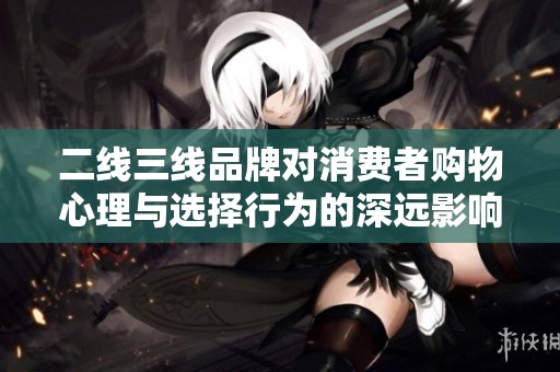 二线三线品牌对消费者购物心理与选择行为的深远影响分析