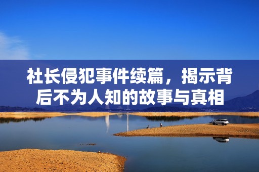 社长侵犯事件续篇，揭示背后不为人知的故事与真相